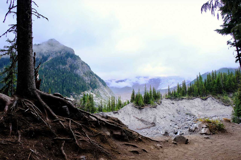 Emmons Moraine Trail - White River - Mount Rainier National Park