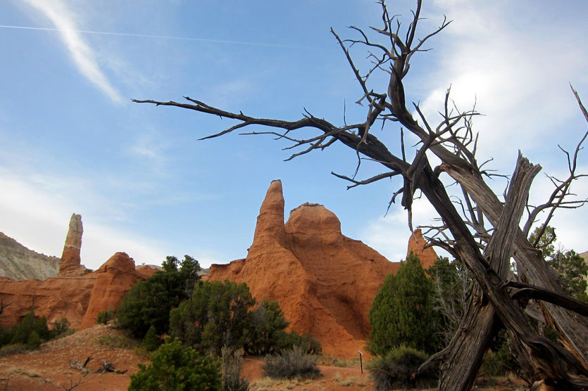Kodrachrome Nature Trail