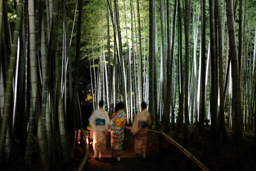Kyoto insider Tipps Highlights Tempel Gärten Reisebericht Japan Blog