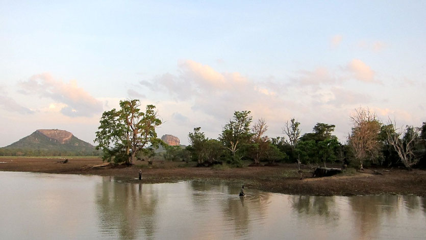 Halmilla Wewa, Sigiriya, Sri Lanka