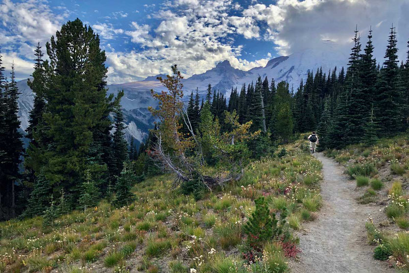 Silver Forest Trail - Wanderweg am Mount Rainier