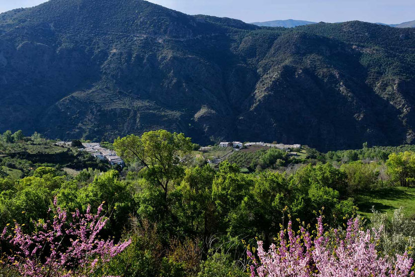 Blick von Hotel  La Oveja Verde de la Alpujarra in Pitres 