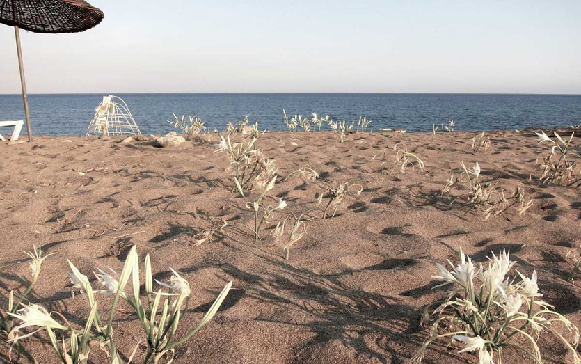 Strand von CIRALI, Türkei Lykische Küste