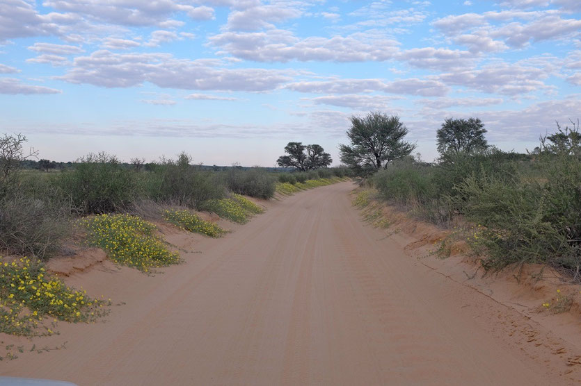 KTP Park street to Nossob Camp