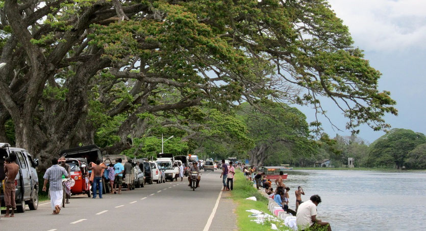 Tissa Wewa, Sri Lanka