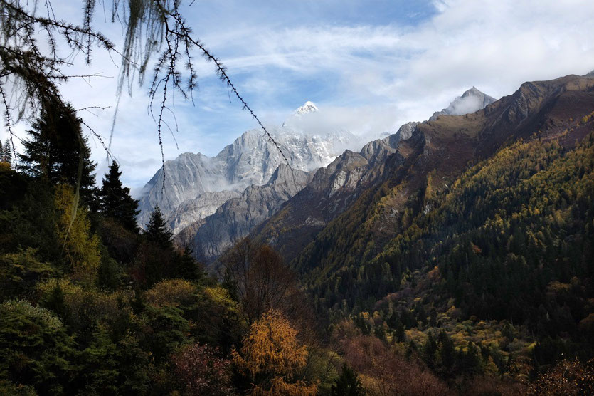 Changping Valley (长坪沟), Mount Siguniang nature reserve