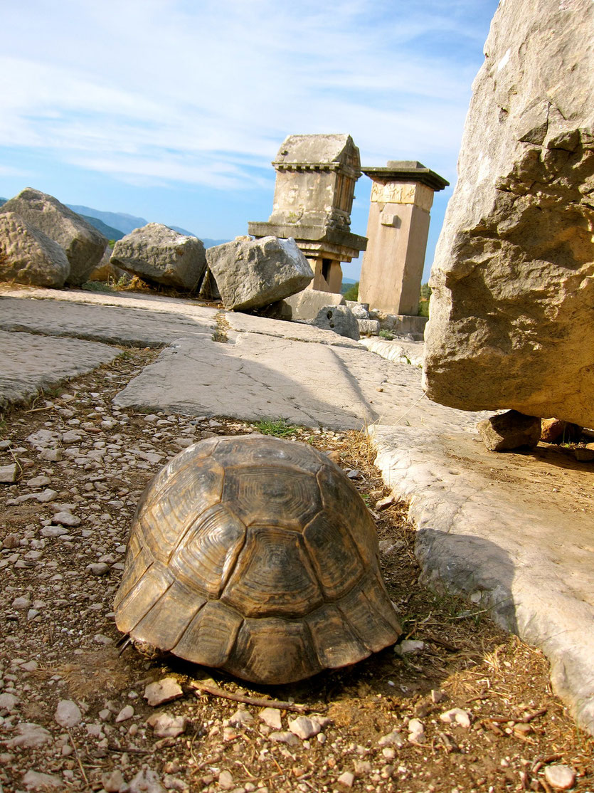 Xanthos Türkei Unesco Weltkulturerbe