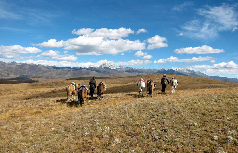Tagong Horse trekking, yala mountain