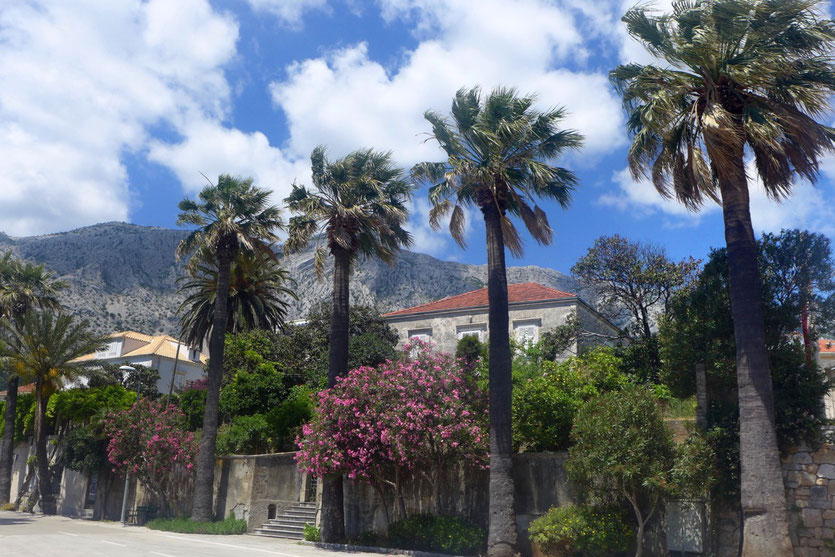 Orebic Insel Peljesac Kroatien