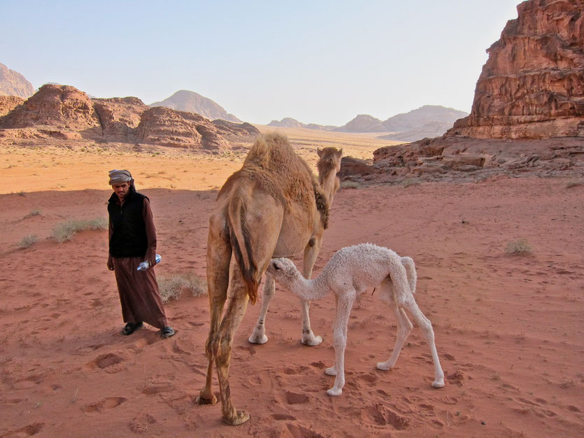 Wadi Rum, Jordanien