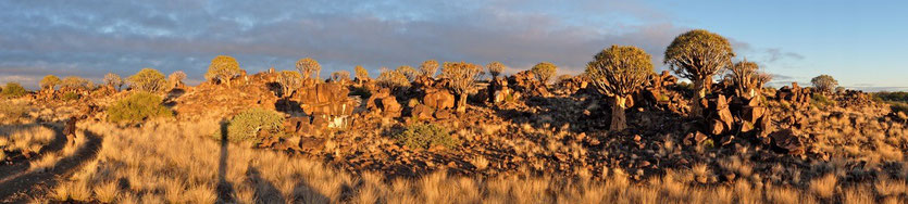 Köcherbaumwald, Mesosaurus Fossil Camp Namibia