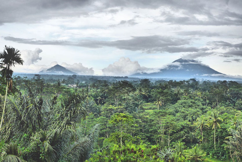 Ubud üppiges Hinterland der Vulkane