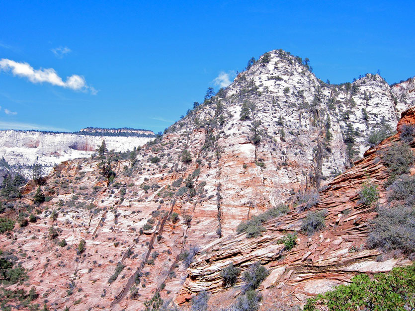 Farbenprächtiger Observation Point Trail, Zion NP