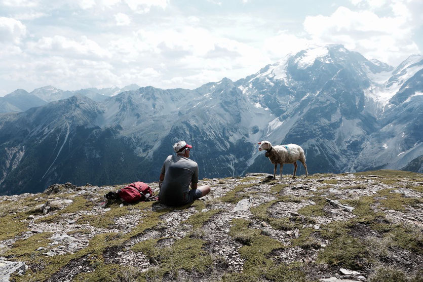 Zwiegespräch mit Schaf vor alpiner Kulisse