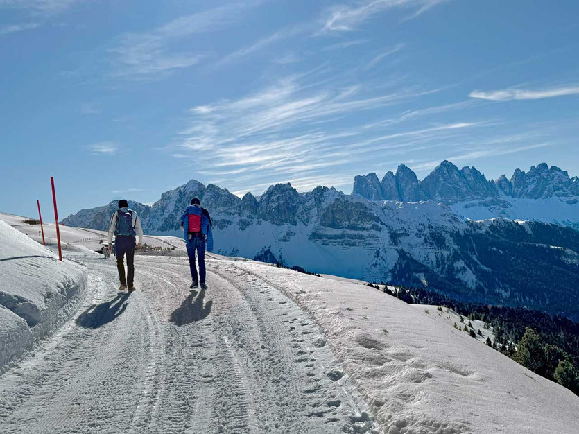Plose Panorama-Winterwanderweg Brixen