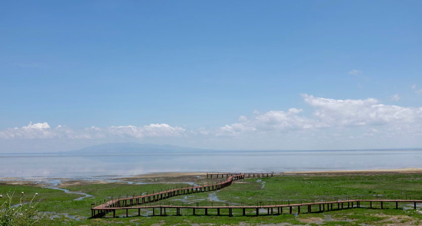 Boardwalk view point Lake Manyara Nationalpark 