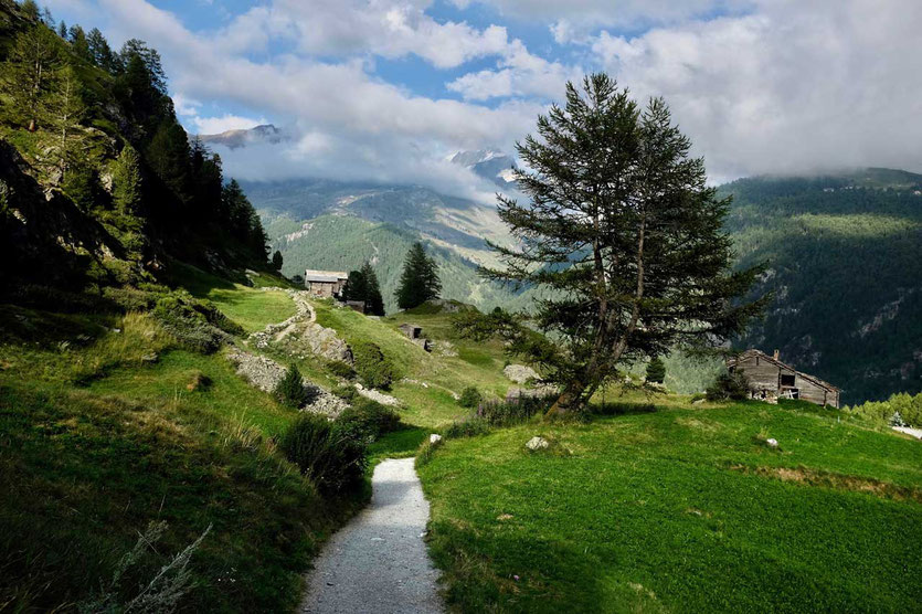 Weg von Zmutt Richtung Zermatt