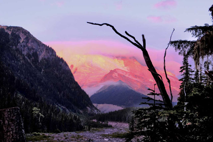Morgenrot am Mount Rainier - Blick vom White River Campground