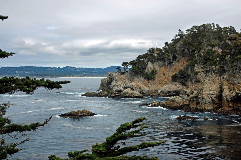 Point Lobos State Reserve
