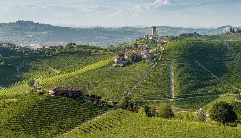 Weindorf Barbaresco