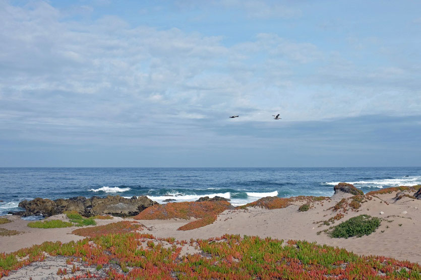 Pacific Grove, Monterey Peninsula