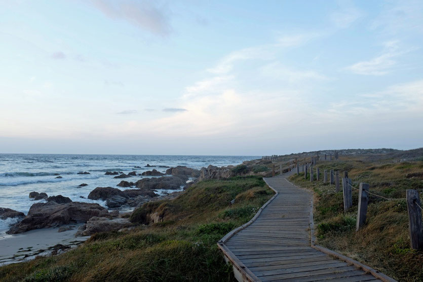 Coastal Trail Pacific Grove, Pebble Beach 