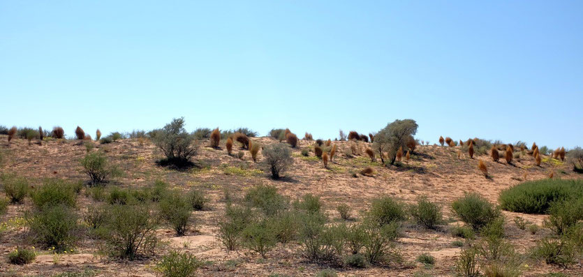Landscape KTP park