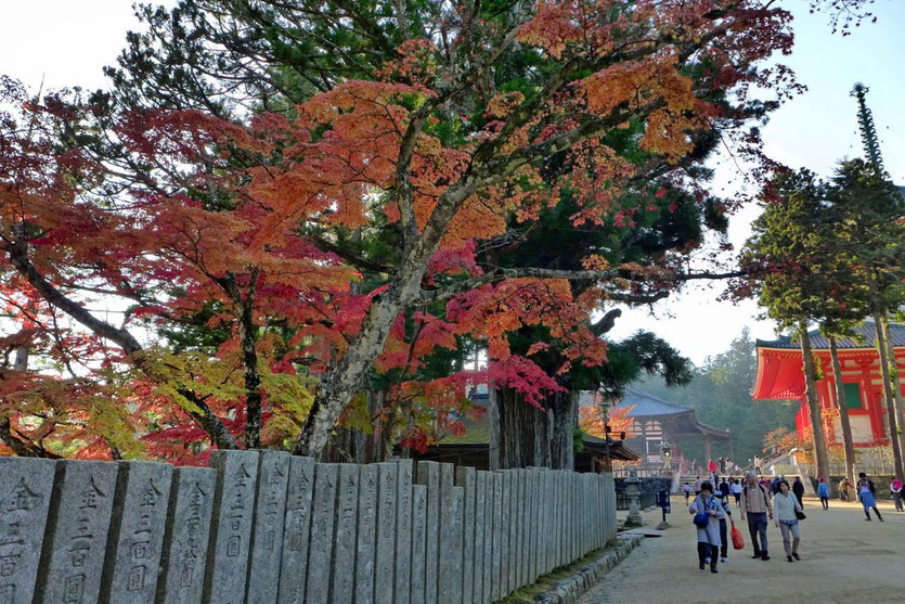 Japan Koyasan Tipps Sehenswürdigkeiten Highlights Danjo Garan Tempelkomplex Pagode Konpon Daito