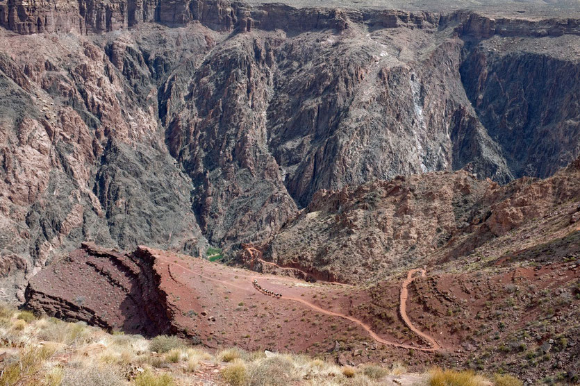 Muli Treck South Kaibab Trail Grand Canyon Wanderung