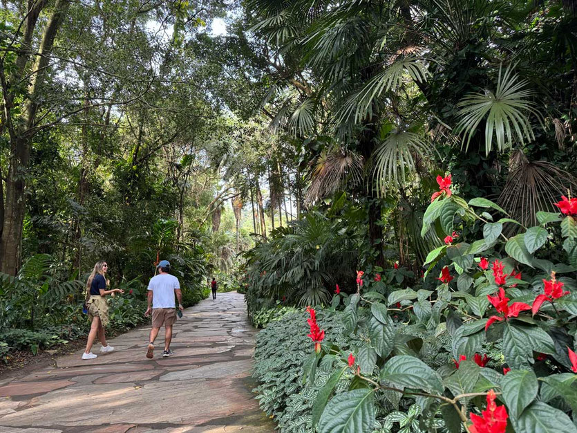 Botanischer Garten, Inhotim Kunstpark, Minas Gerais, Brasilien  