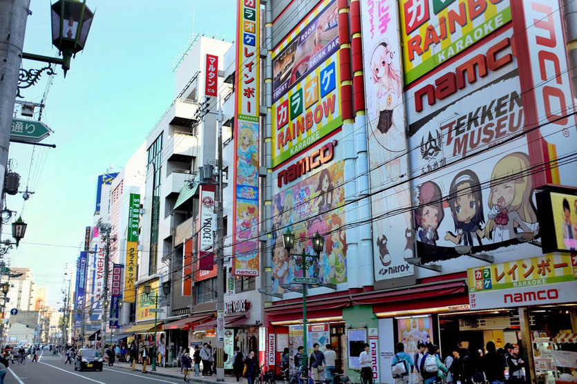 Den Den Town Electronic City Osaka