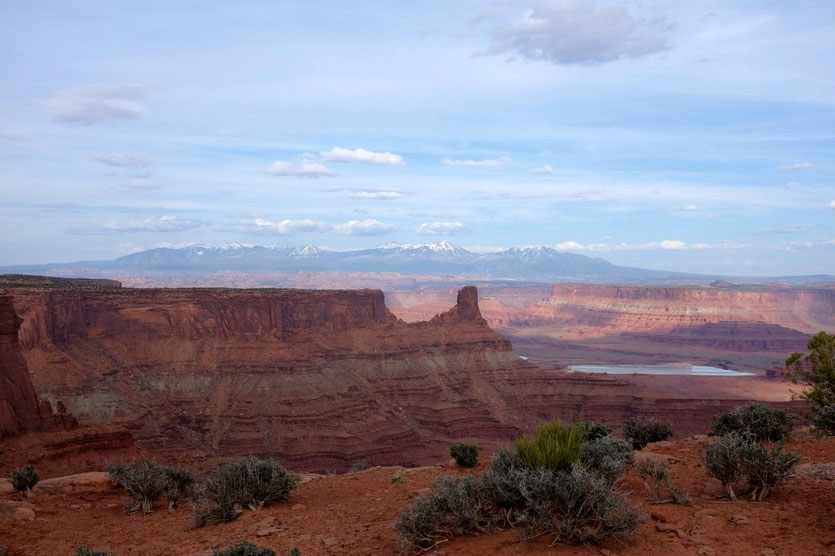 Dead Horse Point Blick auf La Sal Mountains
