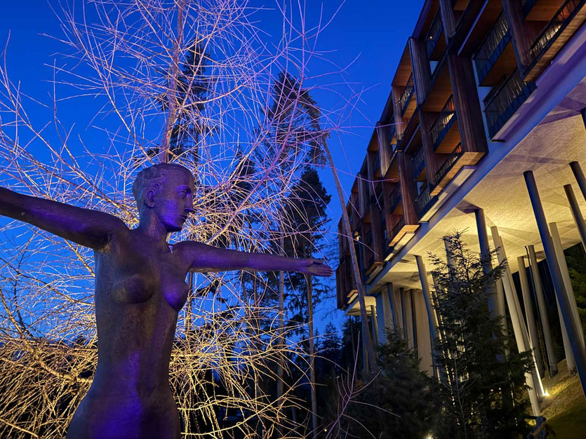 Baumhotel Wellnesshotel My Arbor Brixen