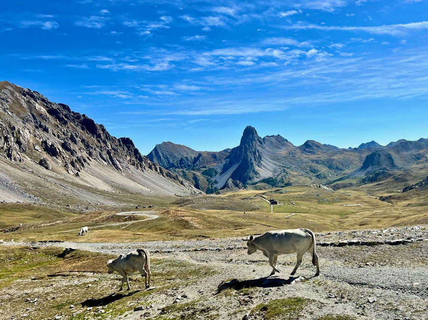 Gardetta Hochebene – Valle Maira – Piemont