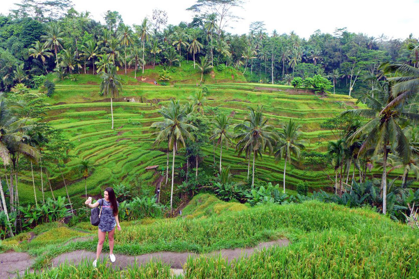 Instagramer im Reisfeld bei Ubud