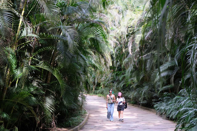 Inhotim Botanischer Garten, Minas Gerais, Brasilien 