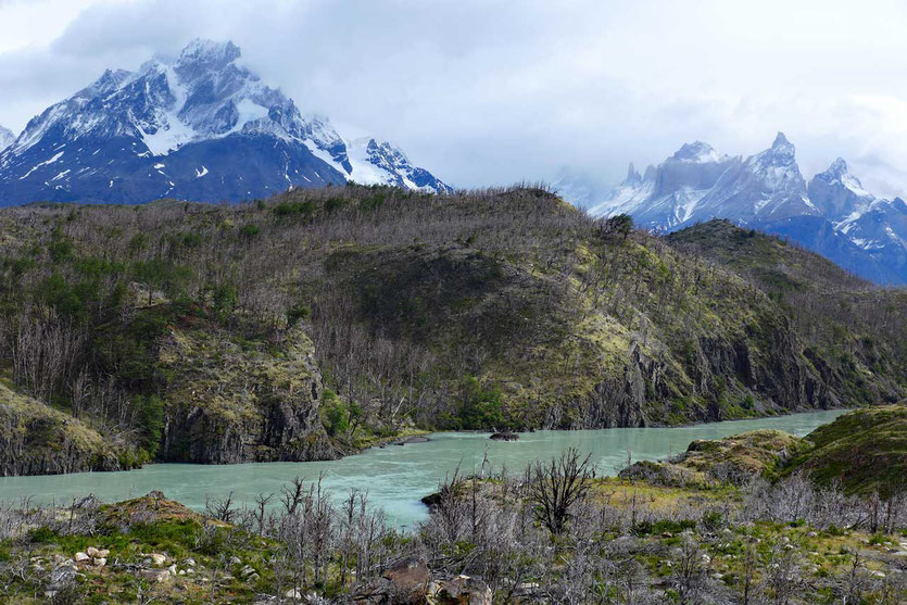 Rio Grey Torres del Paine