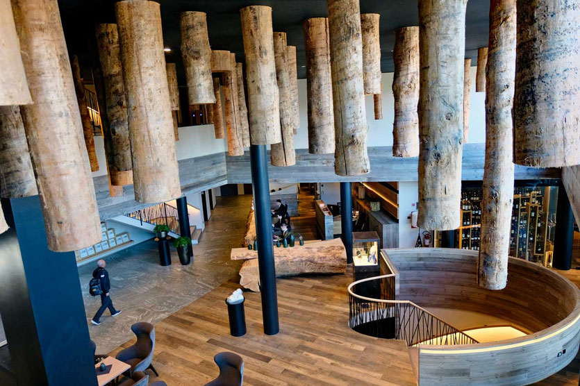 My Arbor Hotel Lobby 