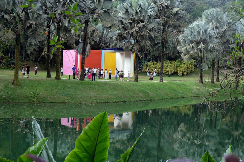 Blaue Bismarckpalmen, Magic Square Installation, Inhotim Kunstpark, Minas Gerais, Brasilien