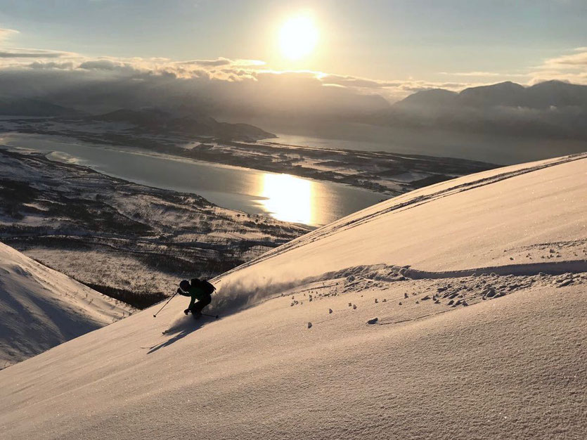 Aus diesem Material sind Skifahrerträume gemacht. Oliver zieht am Stetinden seine Spur in der Nachmittagssonne. Foto: Stefan Brunner