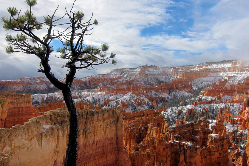Bryce Canyon nach kurzen Schneeschauer