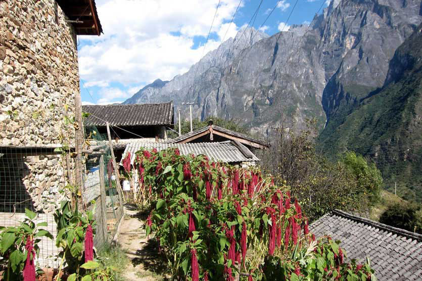 Tea Horse Guesthouse on Tiger Leaping Gorge trek, china