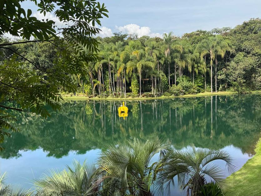 Gelbes Tretboot auf einem künstlichen See, Inhotim Kunstpark, Minas Gerais, Brasilien