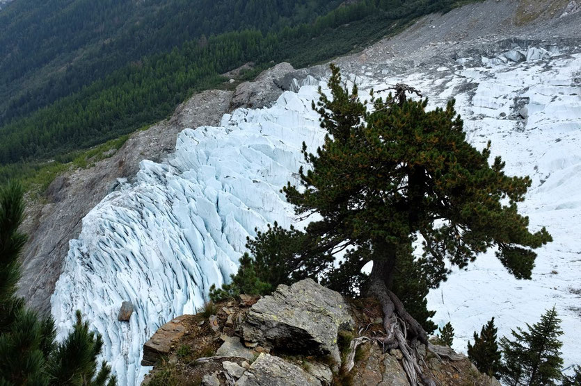 Trail Chalet des Pyramides, Glacier des Bossons Mont Blanc Chamonix