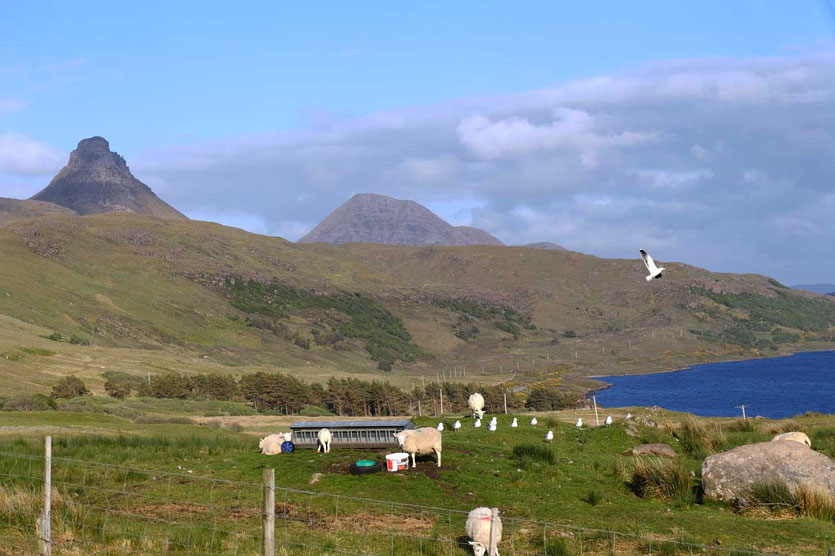Abschied von Loch Lurgainn und Stac Polly