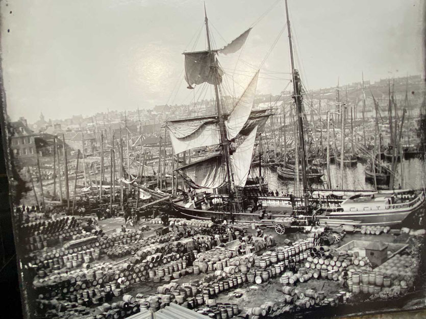 Bereit, den Hering zu laden: Der Schoner Elbe im Hafen von Wick (Foto 1883 Johnston Collection)