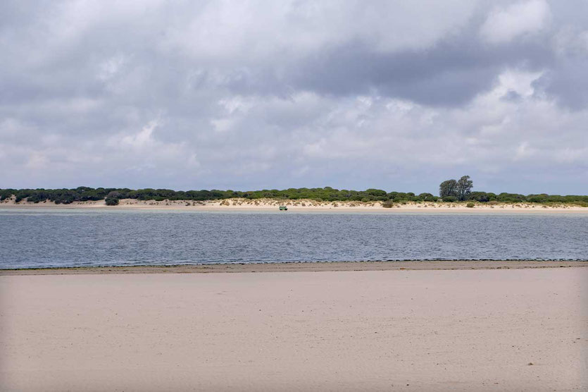 Blick auf die Dünen des Parque Nacional de Doñana, Sanlúcar