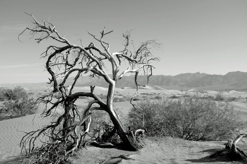 Death Valley