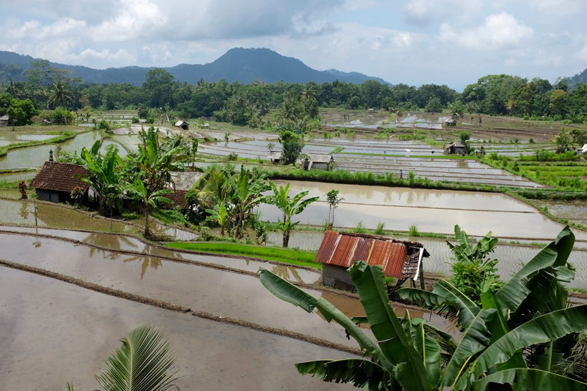 Sidemen tipps Bali