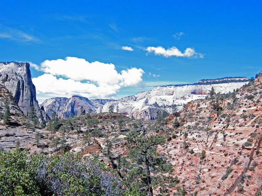 Zion National Park, Observation Point Trail